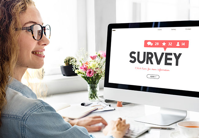 Using email surveys for business analytics